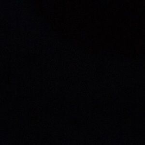 Meet your Posher, Ernie